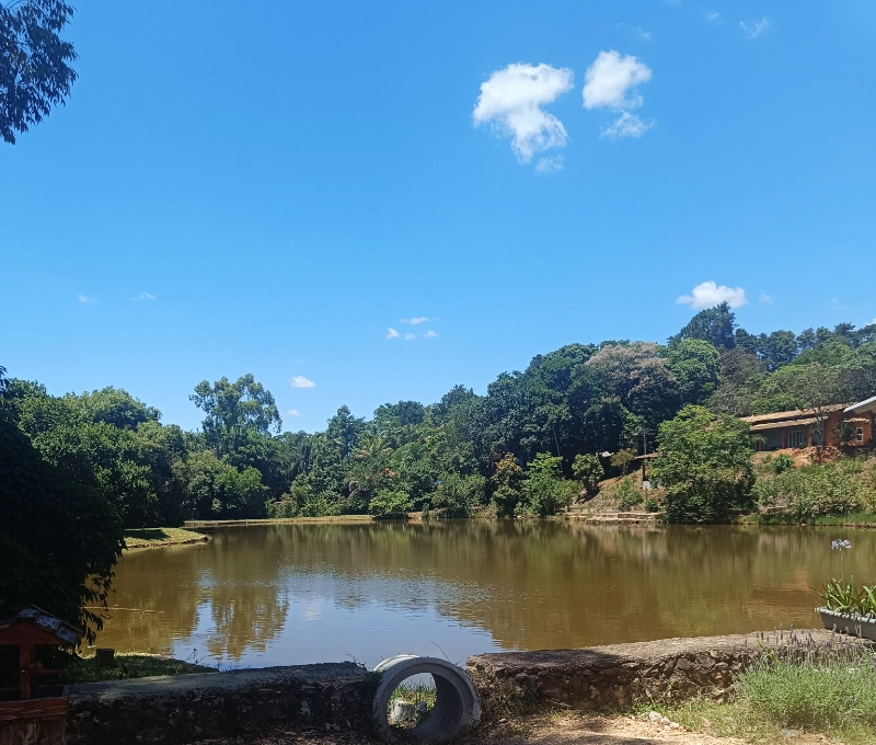 Pesca 2