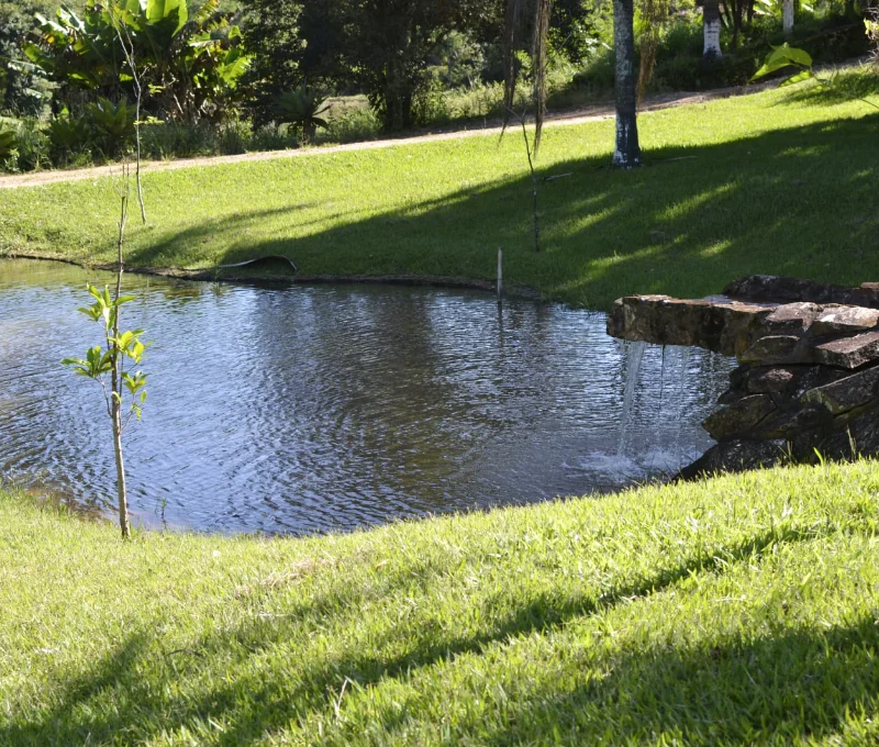 Pesca 3