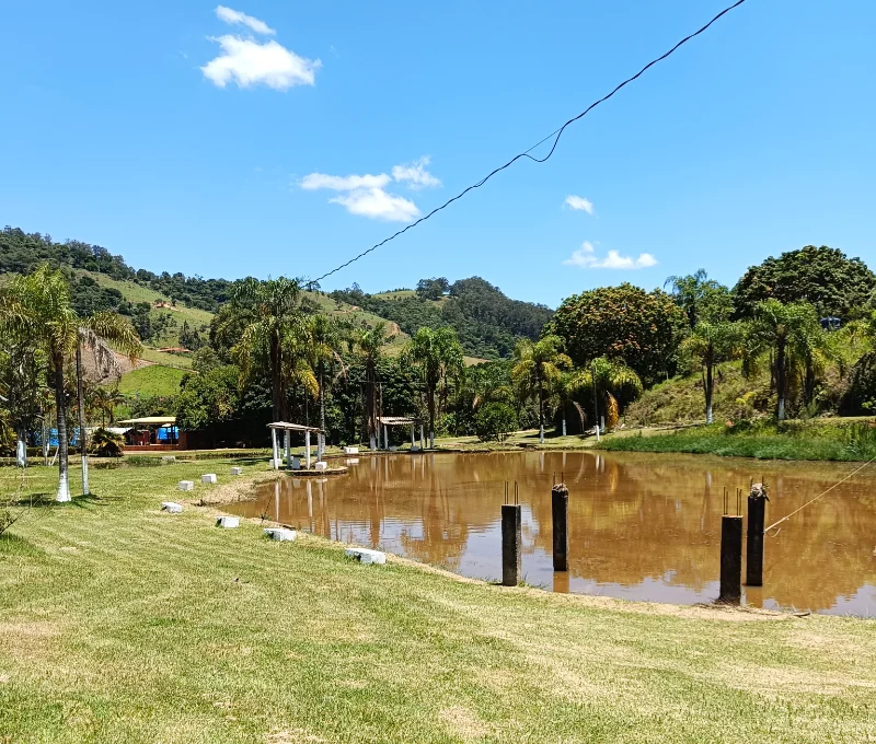 Pesca 6